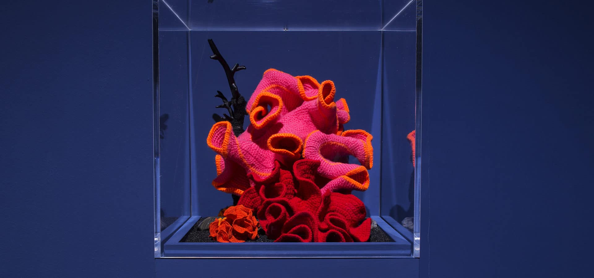 Christine and Margaret Wertheim’s Crochet Coral Reef were included at the Venice Biennale.