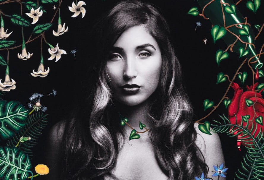Jade Jackson’s second album, Wilderness. Cover illustration by Audrey Jackson.
