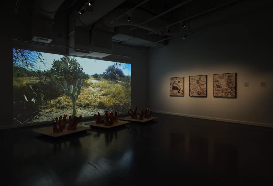 A dark gallery with a large photo of trees at left and art works on the wall at right.